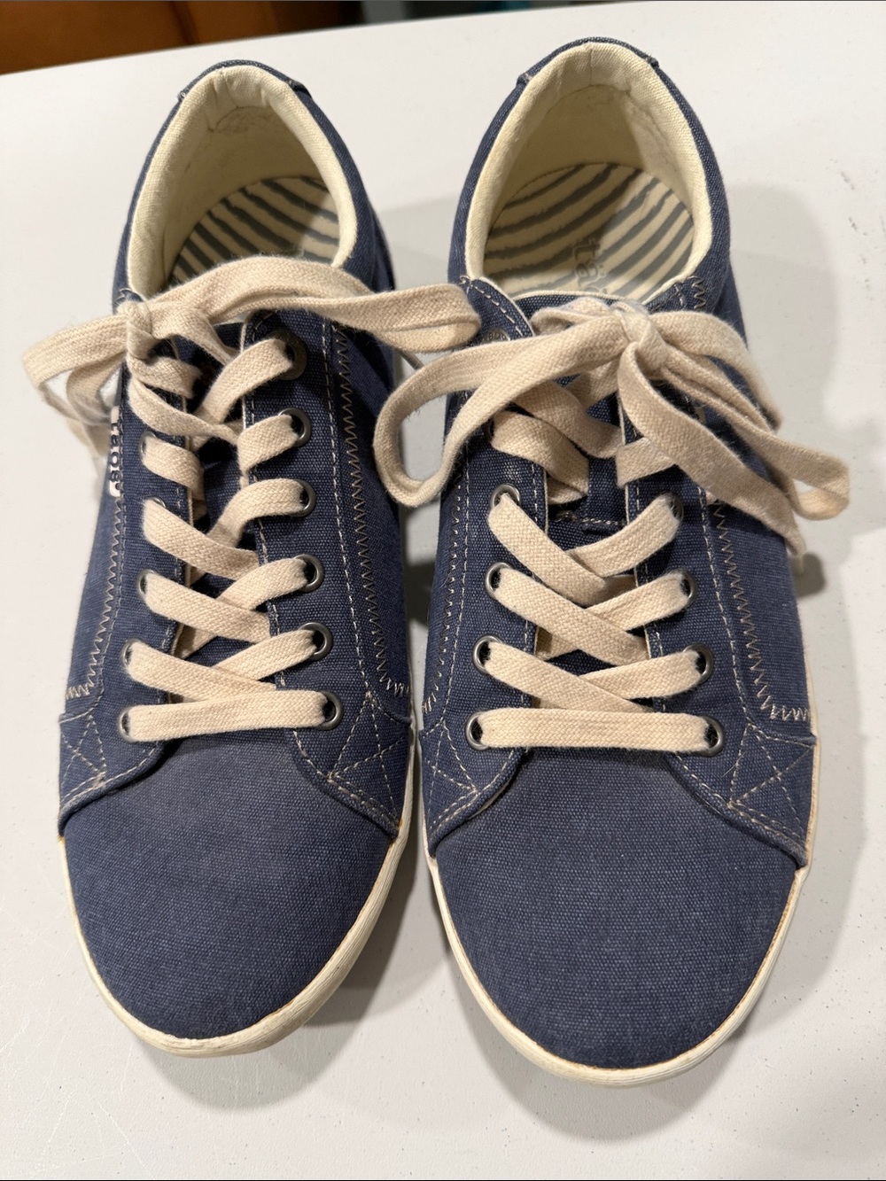 Taos Footwear Navy Canvas Sneakers with Cream Laces